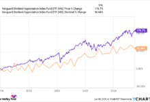 2 Dividend ETFs to Buy With 500 and Hold Forever.png