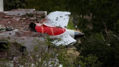 Air India plane crash report Pilots group mulls legal course.jpeg