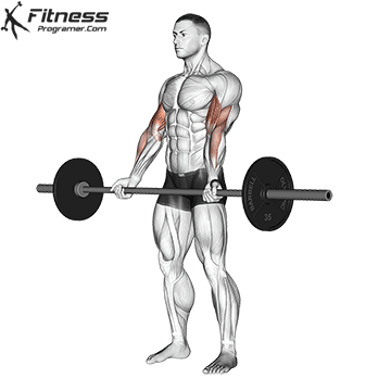Iron curls in exchange for dumbbells: which builds the muscle with a large head? 5 Hallow iron