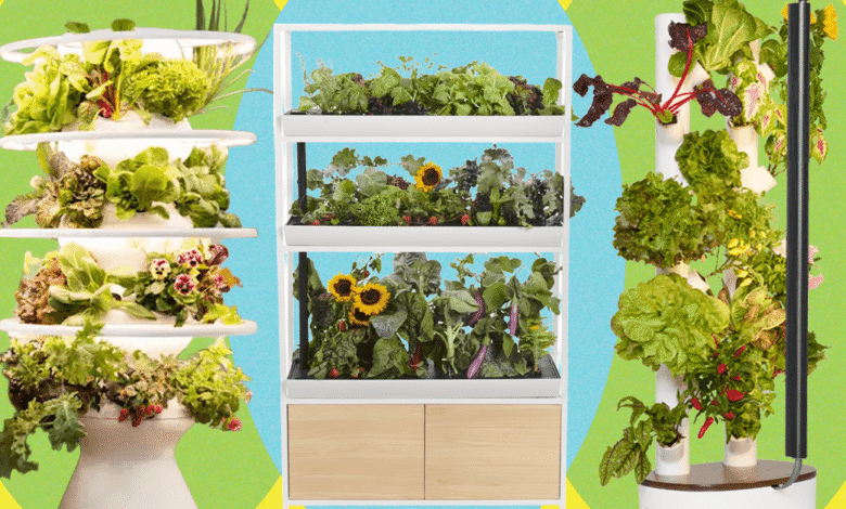 Best Indoor Garden Systems 2025 Tested and Reviewed.png