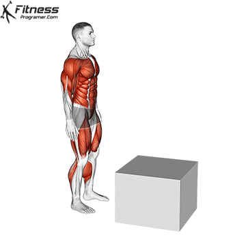 The box jump
