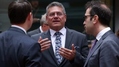 EU warns Trumps 30 tariffs would eliminate transatlantic trade.jpg