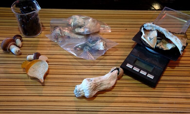 Evidence Grows That Tripping on Shrooms Might Increase Your Lifespan.jpg
