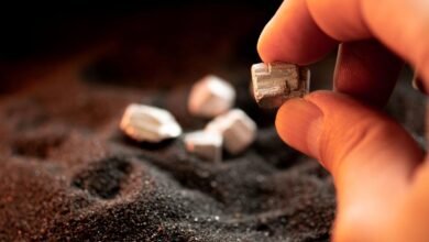 Global silver production set to rise in 2025 but mine.jpeg