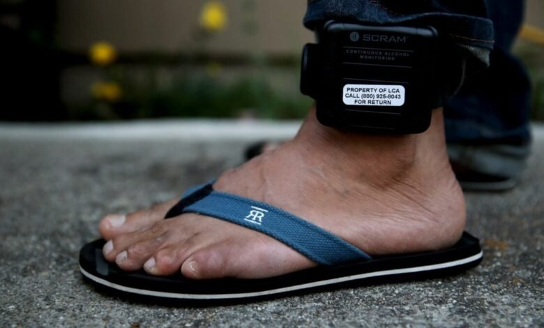 ICE Plans to Track Over 180000 Immigrants With Ankle Monitors.jpg