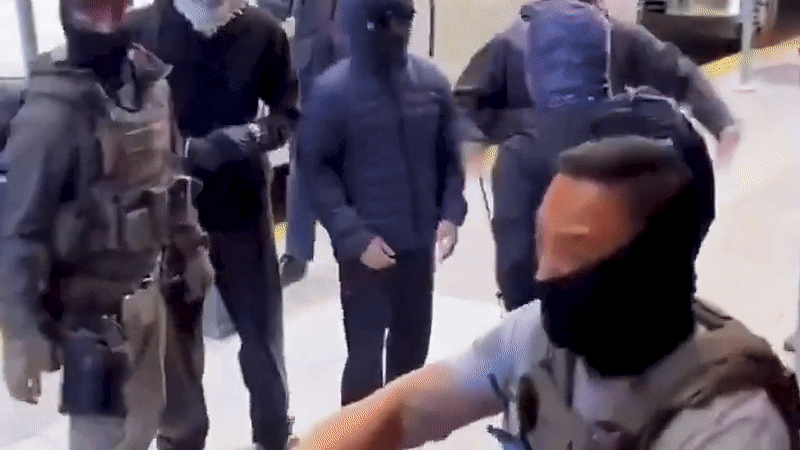 GIF displays demonstrators in a physical quarrel with ice agents
