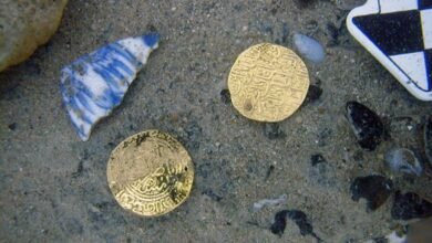 Lost for 300 Years Pirate Plundered Treasure Ship Discovered off Madagascar.jpg