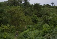 Missionaries Are Targeting Isolated Tribes in Brazil With Solar Powered Audio.jpg
