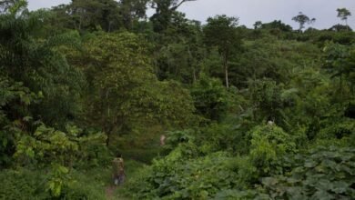 Missionaries Are Targeting Isolated Tribes in Brazil With Solar Powered Audio.jpg