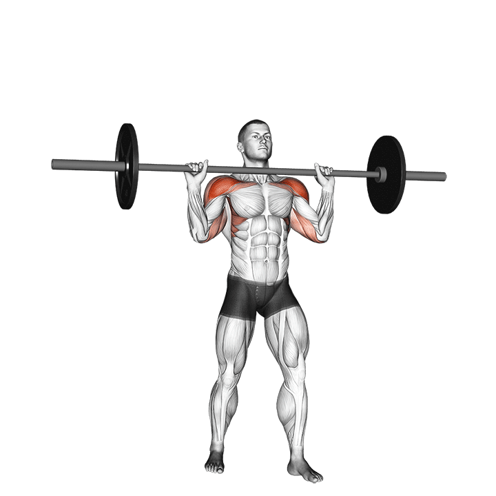 11651301 Barbell Standing Military Press without the shoulders of Raf 720