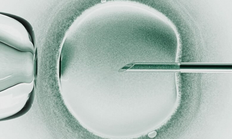 Researchers announce babies born from a trial of three person IVF.jpg