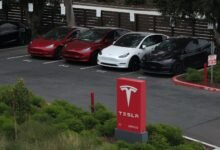 Tesla Makes a Desperate Move in Canada As Sales Collapse.jpg