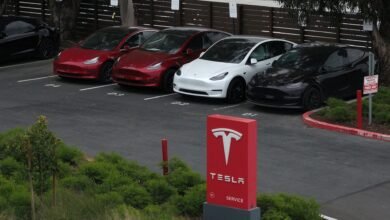 Tesla Makes a Desperate Move in Canada As Sales Collapse.jpg