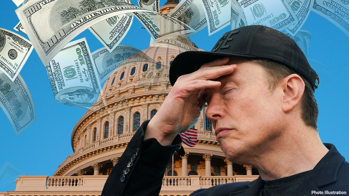 The beautiful Elon Musk bill