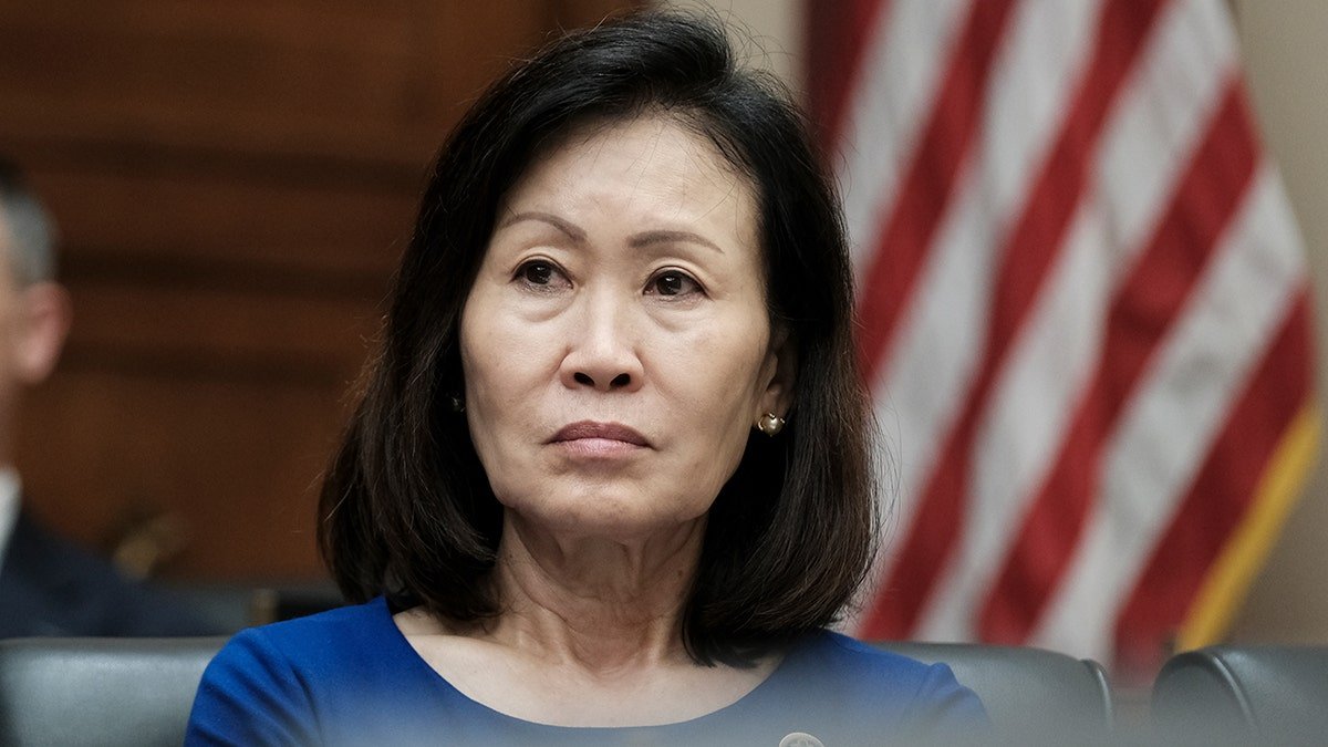 Michelle Steel in hearing