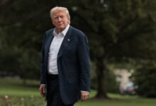1754022409 The Trump cliff or the art of the deal Dozens.jpg