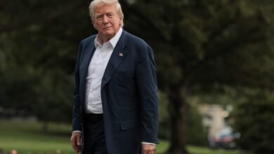 1754022409 The Trump cliff or the art of the deal Dozens.jpg