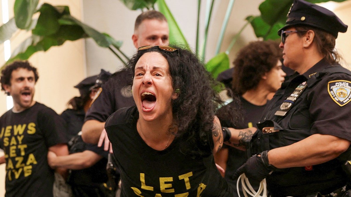 A protester in support of the Palestinian was arrested in New York City