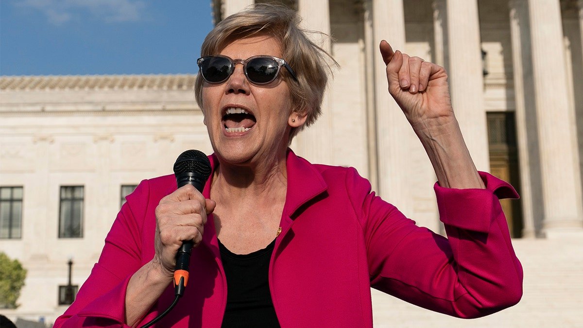 Elizabeth Warren in protest