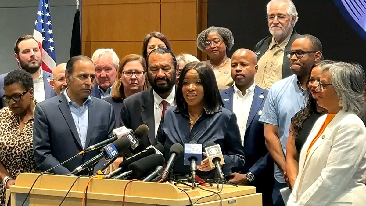 Democrats speak in Texas in Illinois