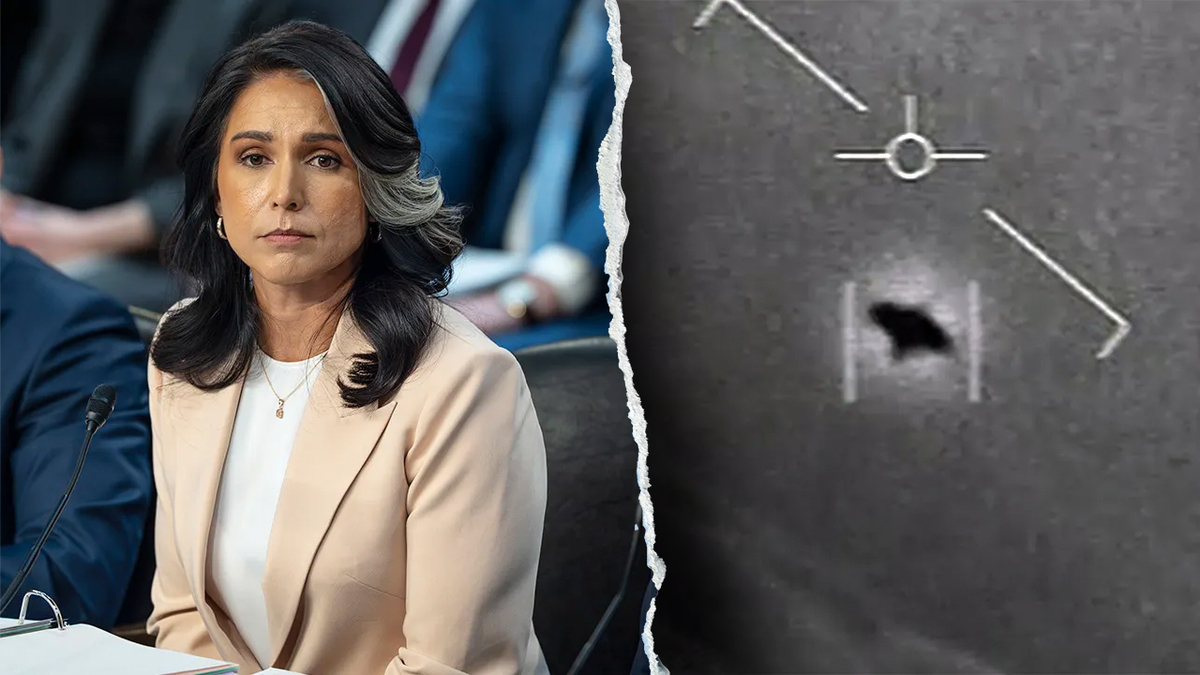 Tolsi Gabbard and UFO division
