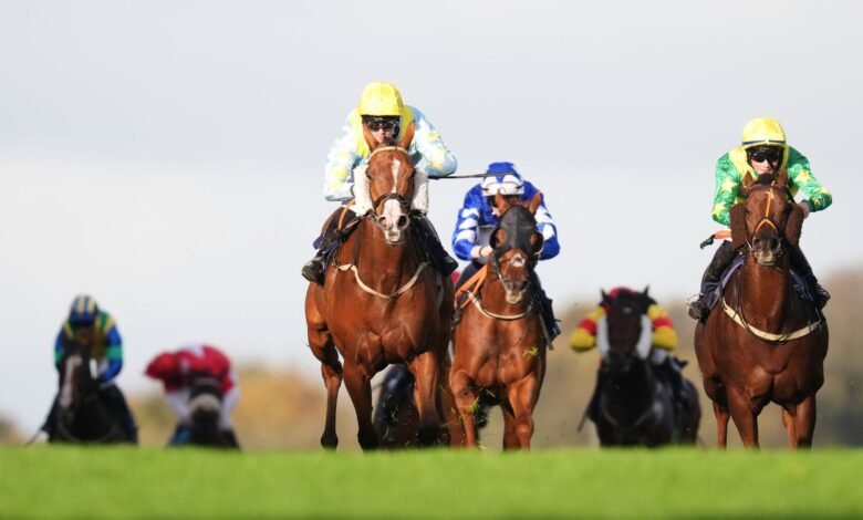 1754636430 Today on Sky Sports Racing Brighton Racing News.jpg