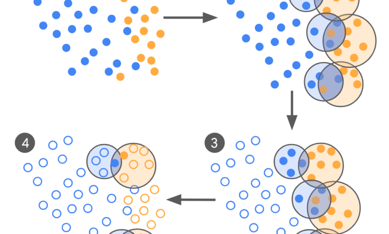 1754815514 From 100000 to Under 500 Labels How Google AI Cuts.png