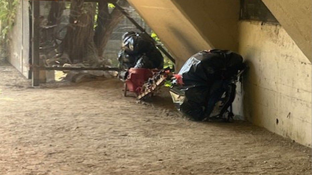 Where the tents were once, there are now garbage bags only, under the main bridge that connects Arlington, Virginia, with George Town, Washington, the capital