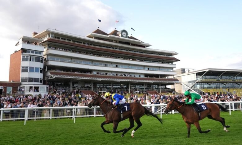 1755238086 Today on Sky Sports Racing Flowerhead and Novelette clash in.jpg