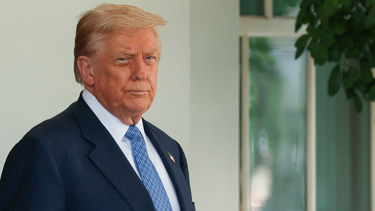 Donald Trump outside the White House