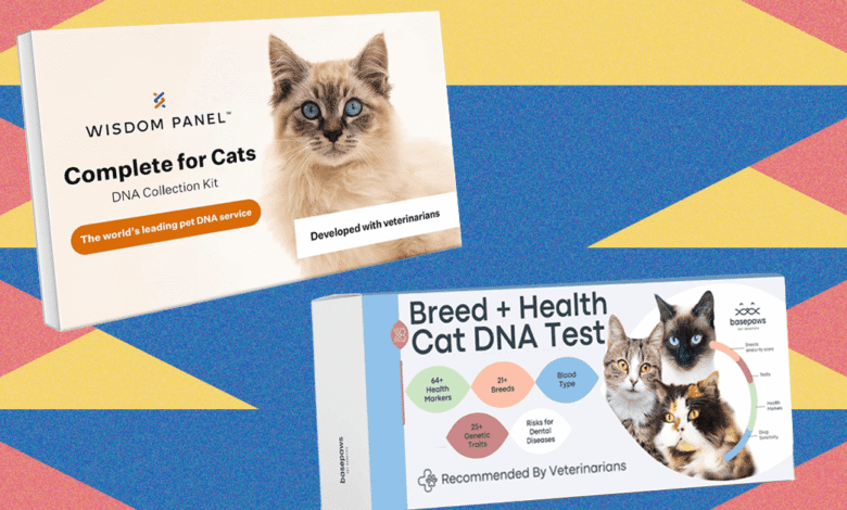 1755356873 I Tried the Best At Home Pet DNA Test Kits on.png