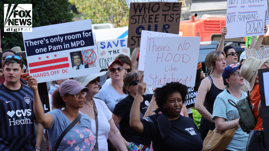 The protest march in Washington