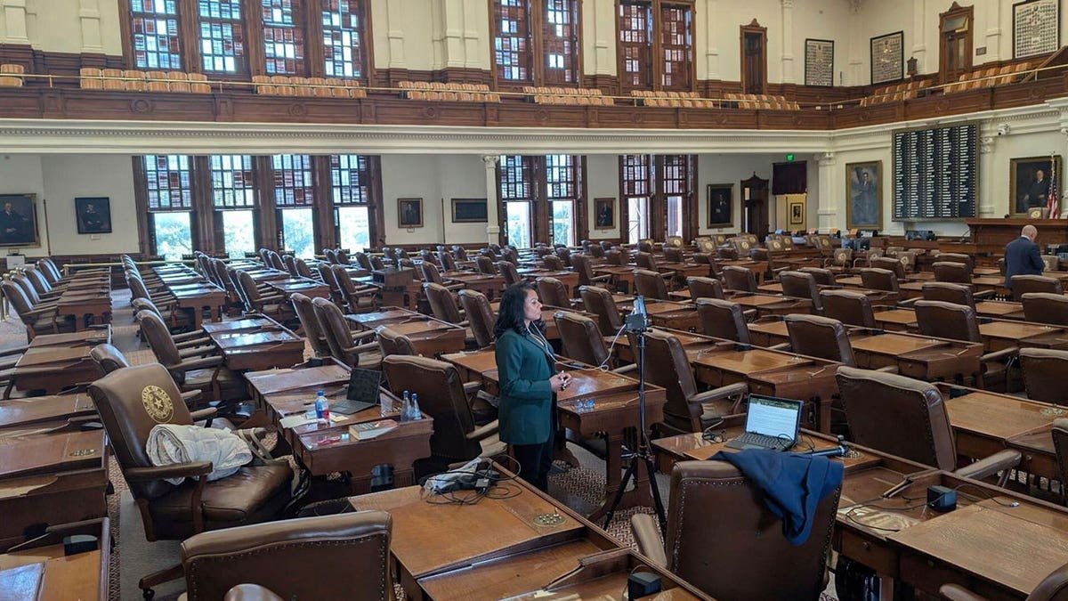 Democratic MP of Texas Nicole Coleer speaks