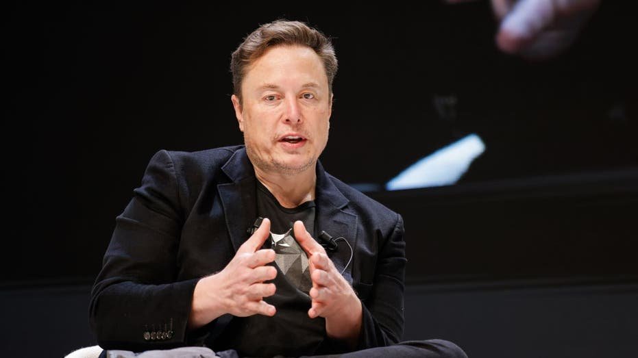 CEO of Tesla Elusk