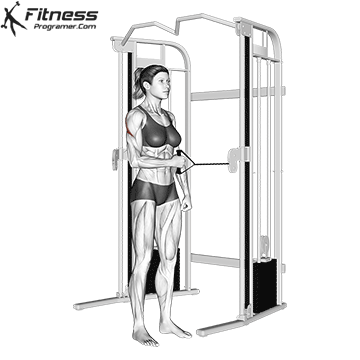 The external shoulder rotation cable