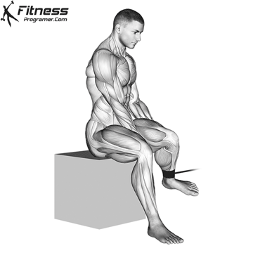 The external rotation group