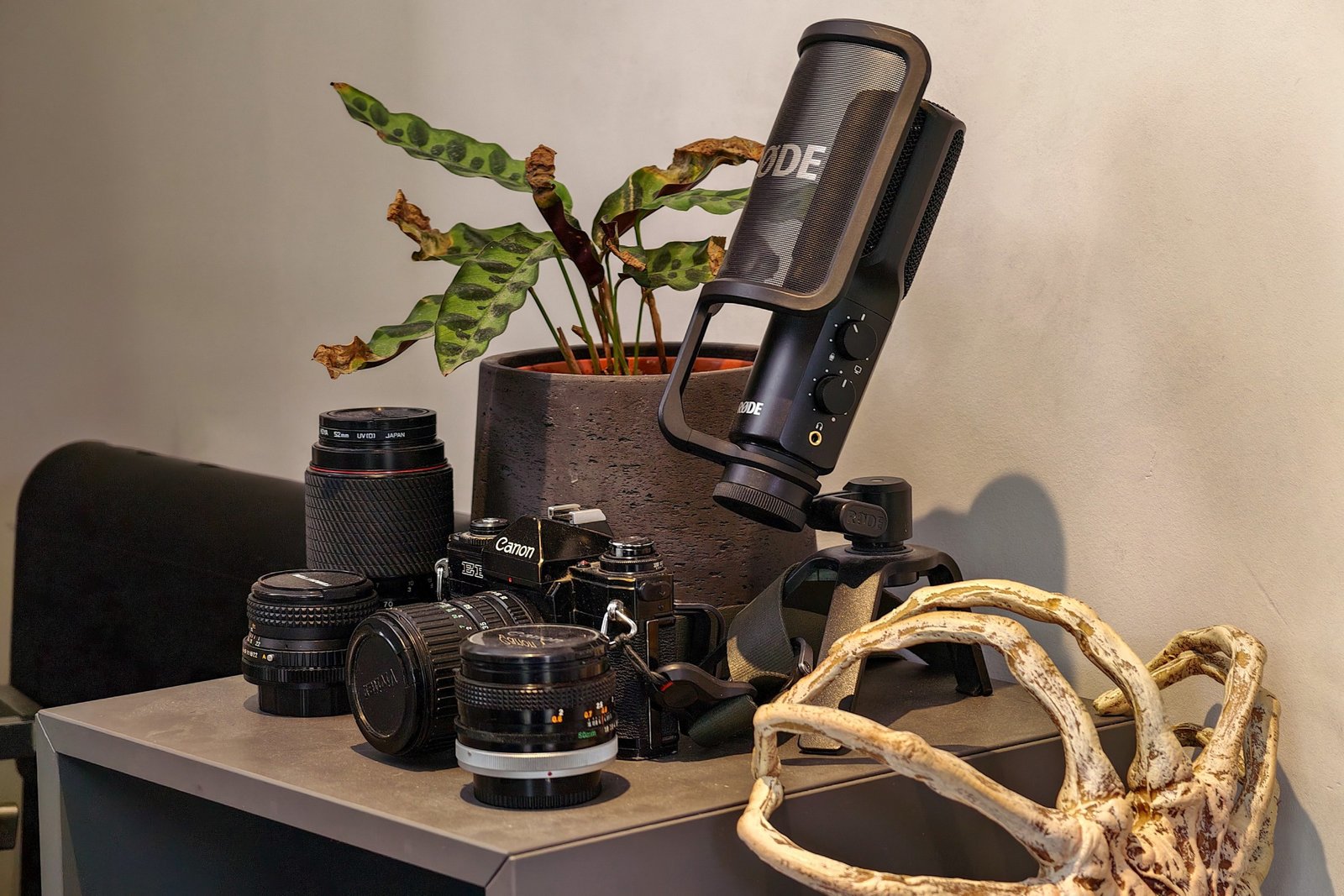 Camera with many lenses, microphone, and plant on a small table.