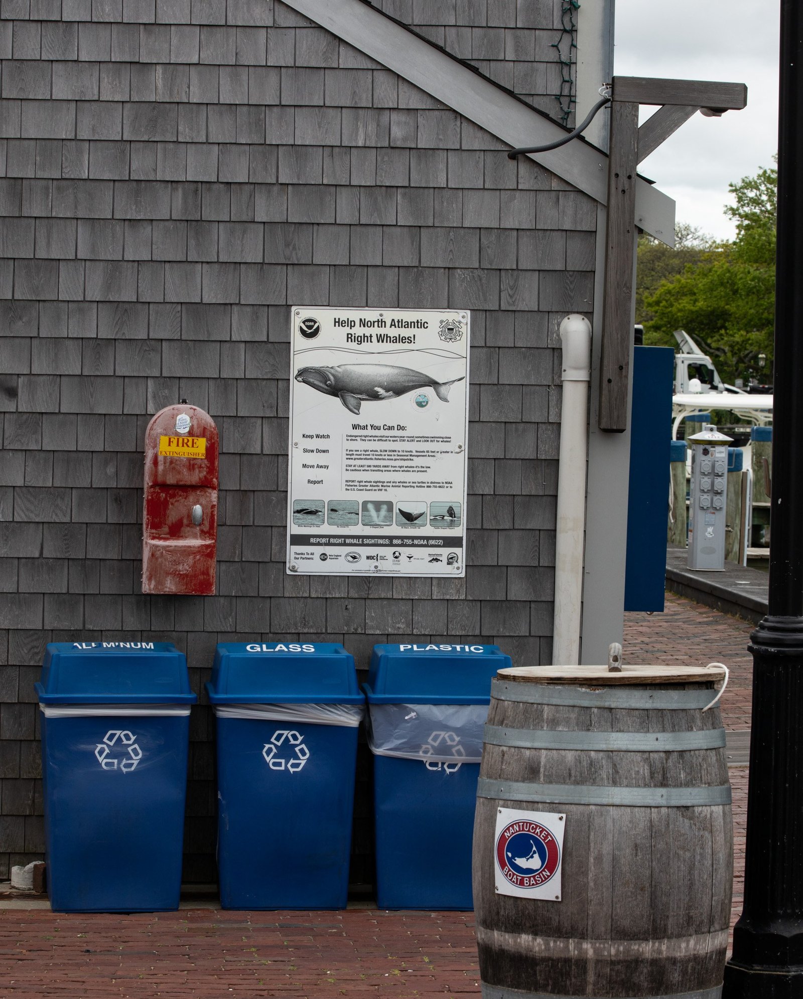 A sign posted alongside Nantucket’s Boat Basin educates passersby about North Atlantic right whales, which are endangered after being hunted for their oil in the late 19th century. The National Oceanic and Atmospheric Administration estimated in 2024 that approximately 370 individuals exist, and the primary threats to their survival are contact with boats or getting entangled in fishing gear.