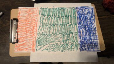 1756419825 Massachusetts flag redesign gets Dunkin logos and velociraptor submissions.jpg
