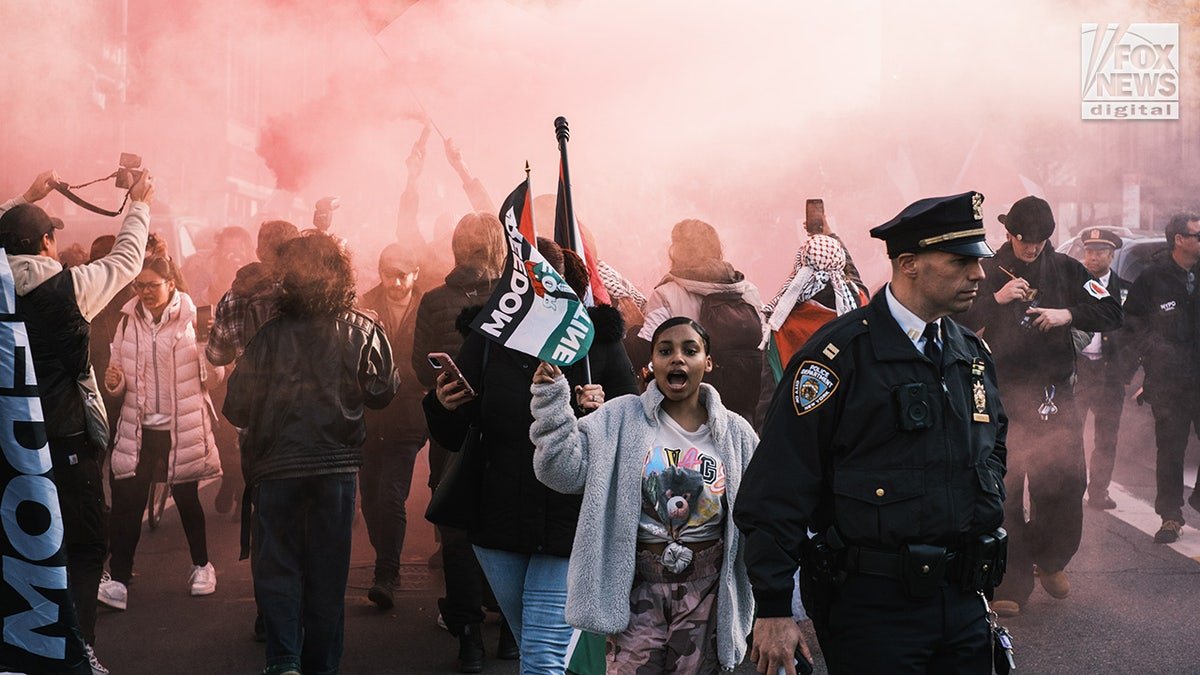 Hundreds of pro -events demonstrators gather at the Brooklyn Museum in New York City