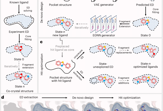 Electron density informed effective and reliable de novo molecular design and optimization.png