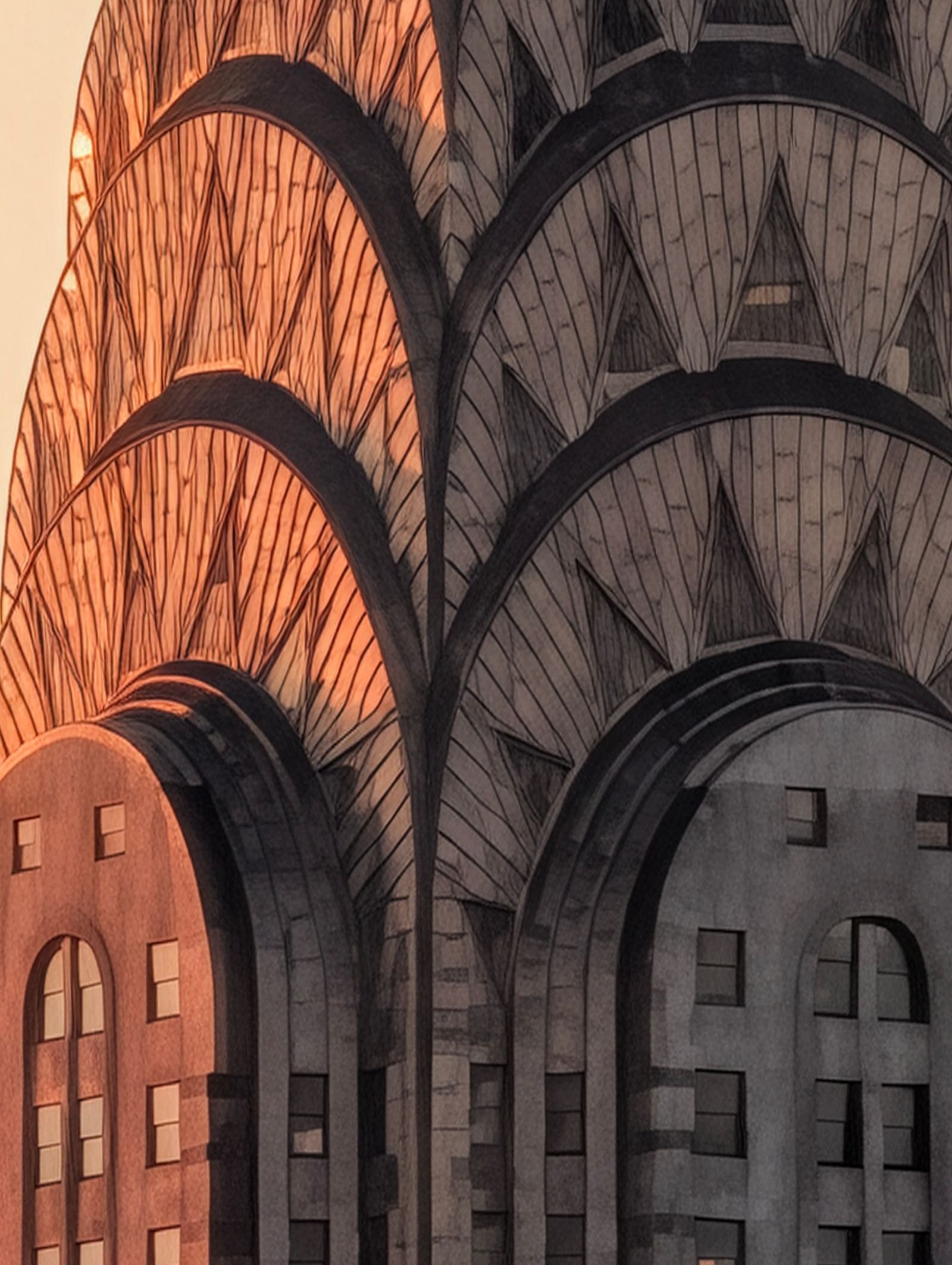 The image may contain