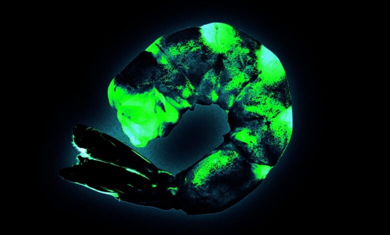 How Did Walmart Frozen Shrimp Become Contaminated With Radioactive Material.jpg