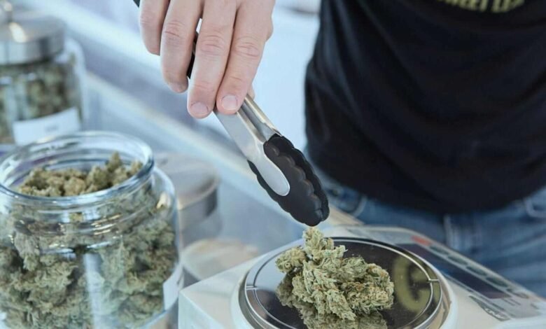 Is Tilray Stock a Buy Sell or Hold for August.jpeg