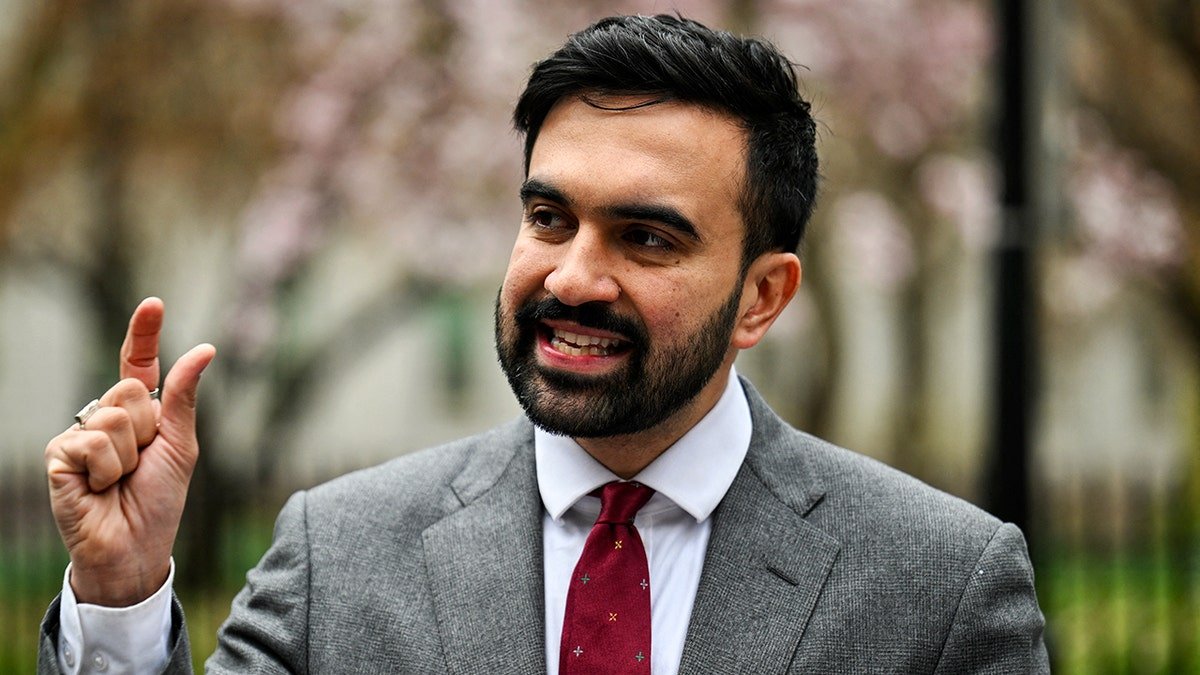 Zahran Mamdani campaign in New York City