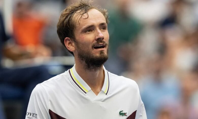 Watch photographer incident in Medvedev match.jpg