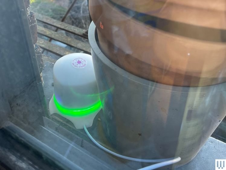 Air Air Zen, white air quality screen with a glowing green loop light around the edge, sitting outside on the edge of the window next to the plants preserved with a bowl