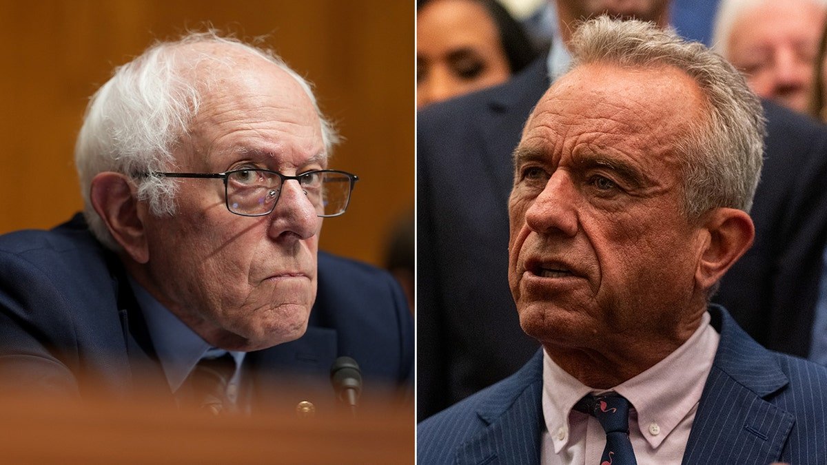 Divide a picture of Birnie Sanders and Robert F. Kennedy Junior.