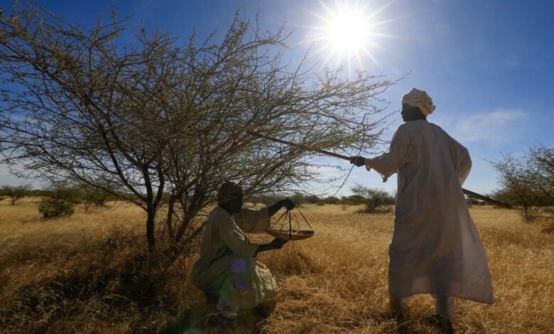 1757515386 Global Consumers Are Indirectly Funding Conflict in Sudan and Congo.jpg