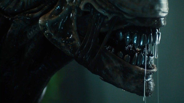 About a closer to Znumorf Zenur and Al -Willan in the foreigner: Earth